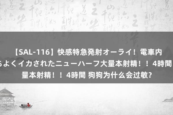【SAL-116】快感特急発射オーライ！電車内で痴漢集団に気持ちよくイカされたニューハーフ大量本射精！！4時間 狗狗为什么会过敏？
