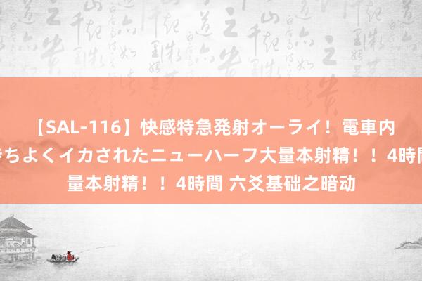【SAL-116】快感特急発射オーライ！電車内で痴漢集団に気持ちよくイカされたニューハーフ大量本射精！！4時間 六爻基础之暗动