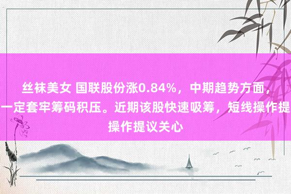 丝袜美女 国联股份涨0.84%，中期趋势方面，上方有一定套牢筹码积压。近期该股快速吸筹，短线操作提议关心