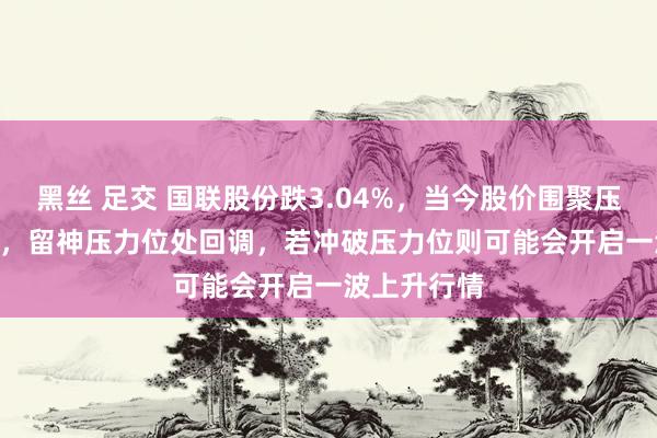 黑丝 足交 国联股份跌3.04%，当今股价围聚压力位19.31，留神压力位处回调，若冲破压力位则可能会开启一波上升行情