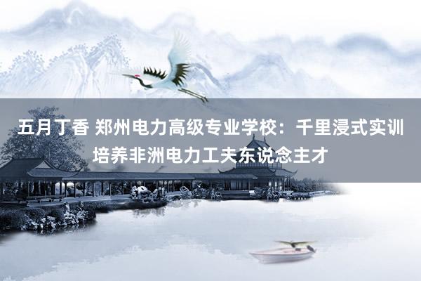 五月丁香 郑州电力高级专业学校：千里浸式实训培养非洲电力工夫东说念主才