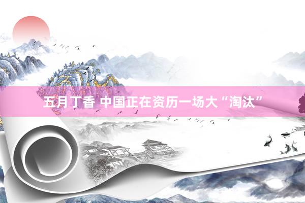 五月丁香 中国正在资历一场大“淘汰”