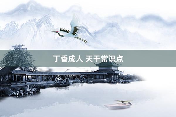 丁香成人 天干常识点